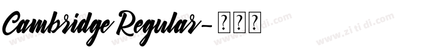 Cambridge Regular字体转换